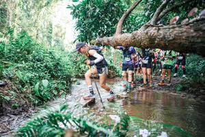 BIB: 
                            <button type="button" onclick="openModal(25516434)" class="btn btn-primary btn-sm float-right btn-popup" data-toggle="modal" data-target=".modal-high-quality">
                        <i class="fas fa-shopping-cart"></i> Add to Cart
                    </button>
                                            <button type="button" onclick="isThisMe(25516434, true)" class="btn btn-success btn-sm float-right btn-popup btn-isme hidden" data-toggle="tooltip" data-placement="bottom" title="นี่คือรูปของคุณใช่ไหม คลิกที่นี่เพื่อเอาเข้าอัลบั้ม">
                        <i class="fas fa-plus"></i> Add to album
                    </button>
                    <button type="button" onclick="isThisMe(25516434, false)" class="btn btn-warning btn-sm float-right btn-popup btn-isnotme hidden">
                        <i class="fas fa-ban"></i> Remove from album
                    </button>